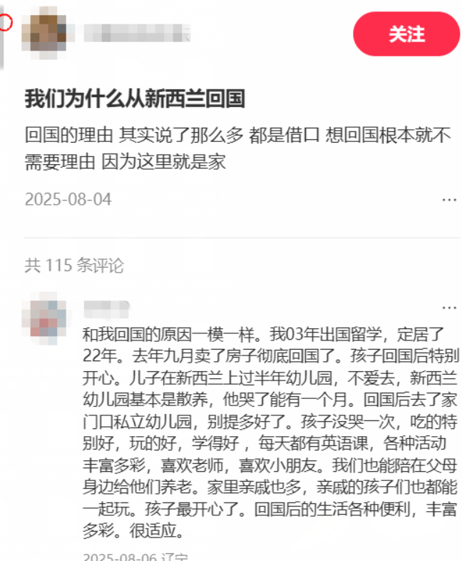 江南豆11.png