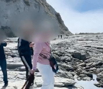 GIF 2026-3-10 13-38-14.gif