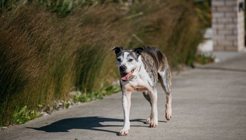 20250902175148_st3gun7u40 (1).png