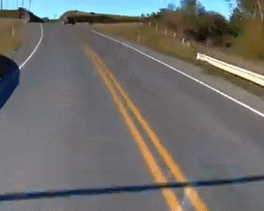 GIF 2026-3-31 12-51-55.gif