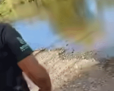 GIF 2026-3-31 13-49-00.gif