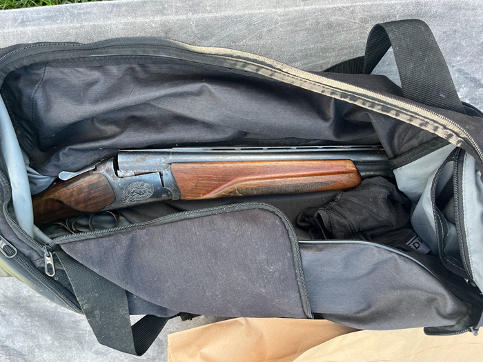 firearm.jpg