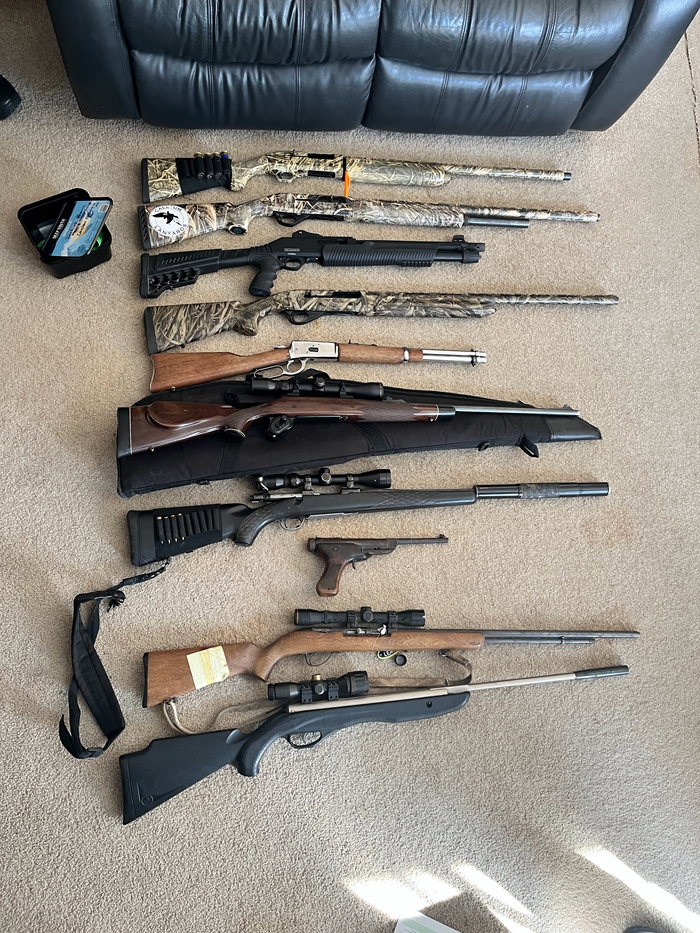 firearms.jpg