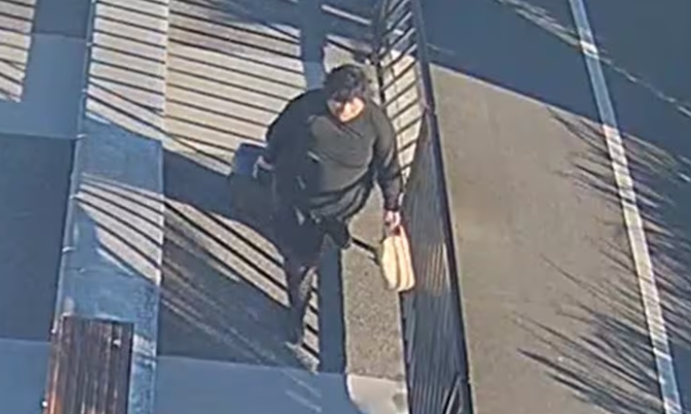20240705173130_5hbu0u6rr7.jpg
