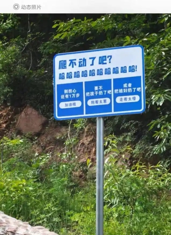 wangyanhu20265201817183031587.jpg