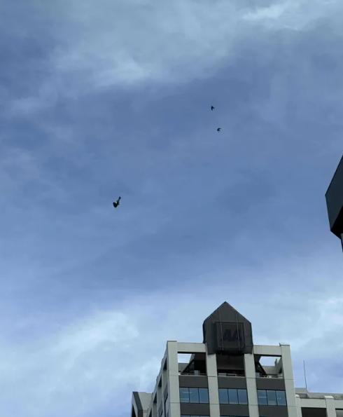 ScreenShot_2026-05-22_111530_094.png