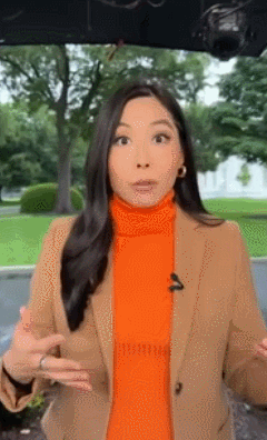 GIF 2026-5-24 9-22-16.gif