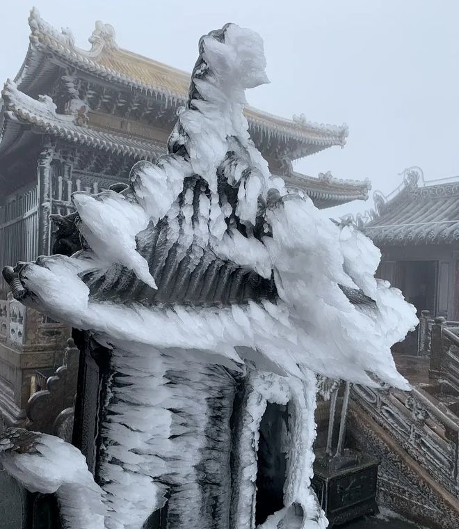 下载 (12).jpg