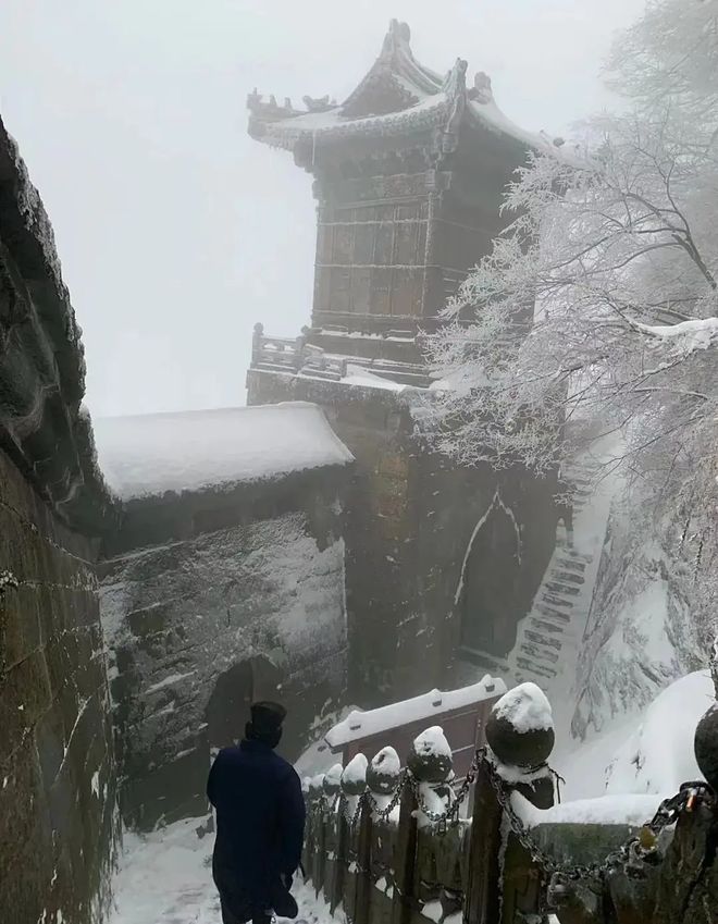 下载 (10).jpg