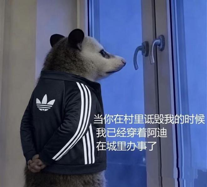 下载 (9).jpg