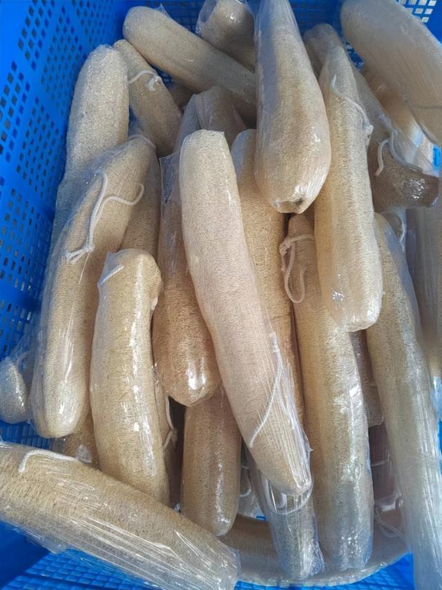 下载 (11).jpg