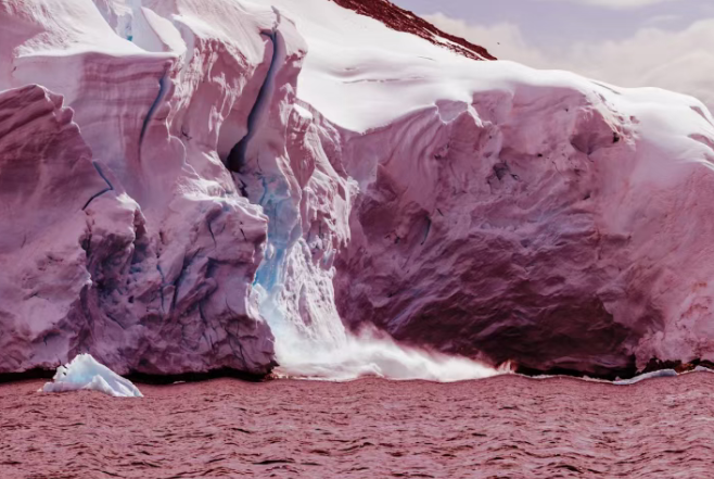 图片_2026-06-19_105133_683.png