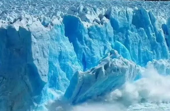 图片_2026-06-19_105152_705.png
