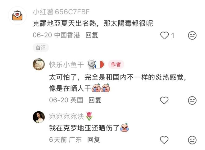 下载 (4).jpg
