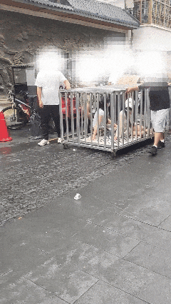 2026_0702_8a34291fg00thjs70017pd0006o00bug (1).gif
