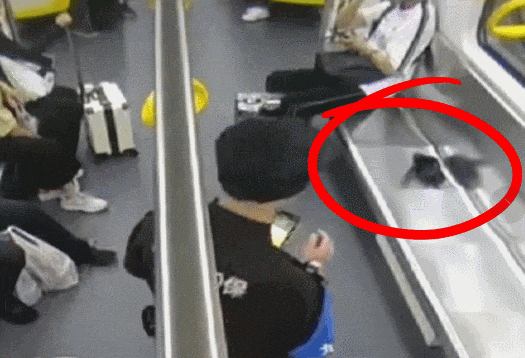 e2ad978cdf5347ed8ada24a125c32584~tplv-tt-origin-web_gif.gif