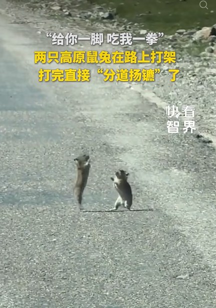 s_e875d6520a7a4eda80842c9ed2e75332_副本.jpg