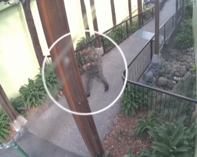 GIF 2026-7-20 11-07-37.gif