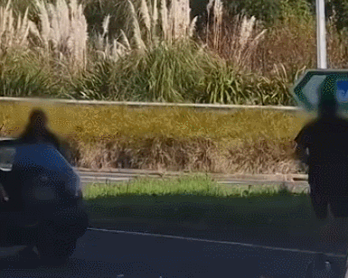 GIF 2026-7-22 10-45-09.gif