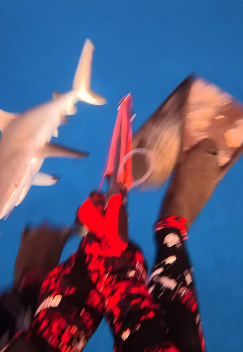 48a3345260ba3b7a59d0e7a7b550dfa8.png