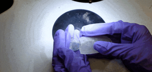 640 (1).gif