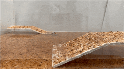 640 (6).gif