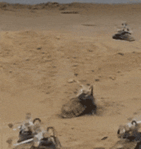 640 (8).gif
