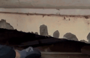 640 (9).gif
