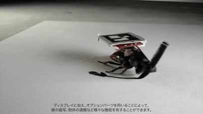 640 (5).gif