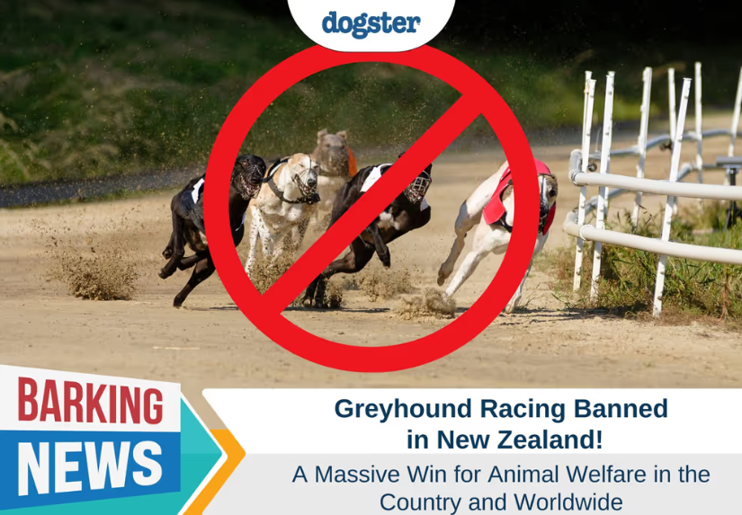 ScreenShot_2026-07-31_105136_390.png