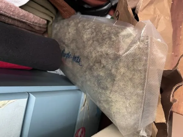 Cannabis 1.jpg