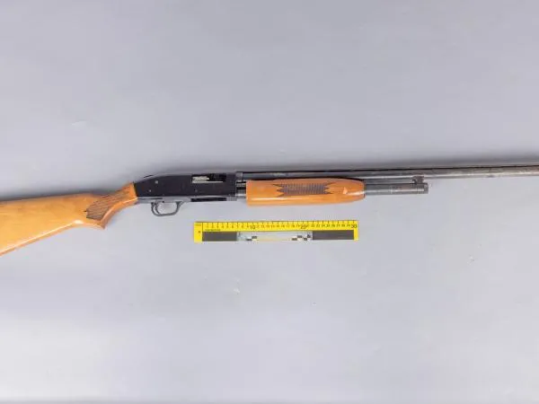 Gun 2.jpg