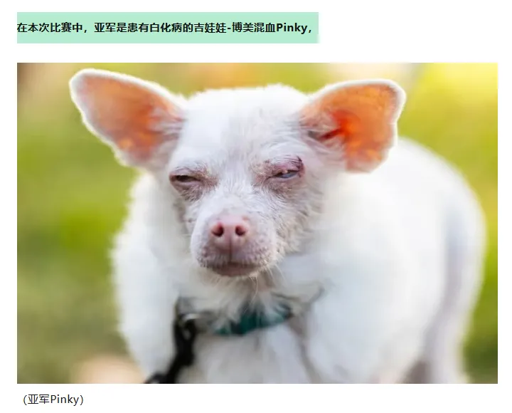 QQ20260818-134819.jpg