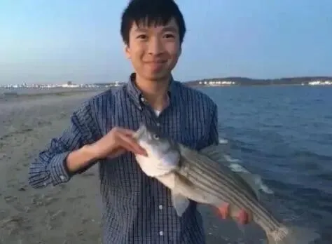 下载 (14).jpg