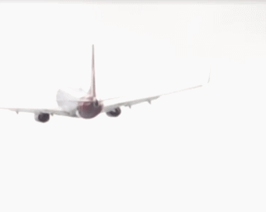 GIF 2026-9-6 8-55-37.gif