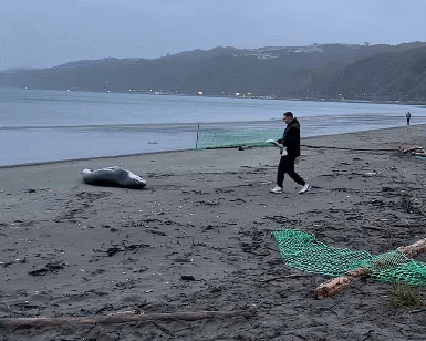 GIF 2026-9-8 8-46-37.gif