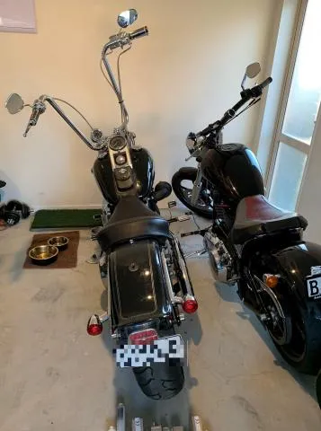 harley.jpg