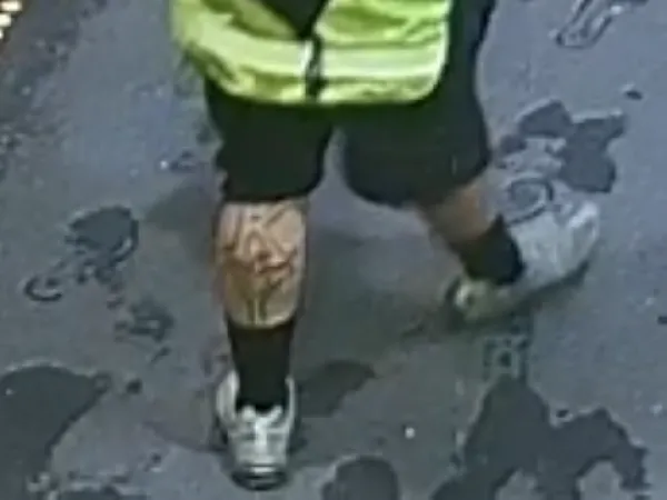 appeal for info mount albert 2.png