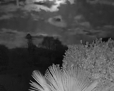 GIF 2026-9-24 7-50-40.gif