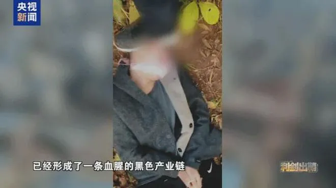 下载 (8).jpg