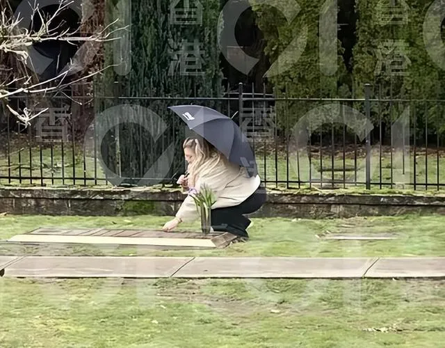 下载 (1).jpg