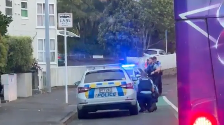 奥克兰市中心男子涉嫌将气枪指向警员 被警员控制住